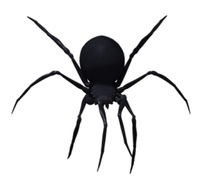 Black widow spider PNG image-4556